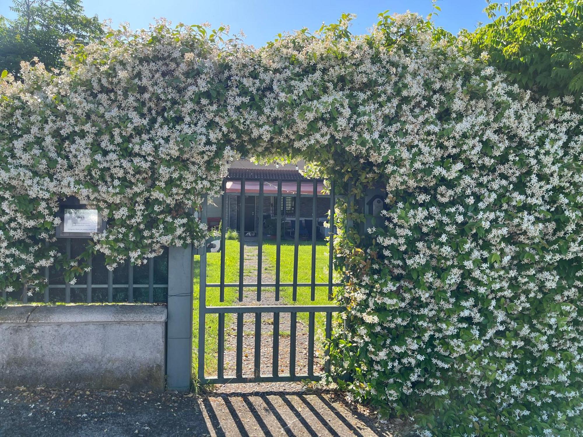 Garda Art&Garden Villa Volta Mantovana Kültér fotó